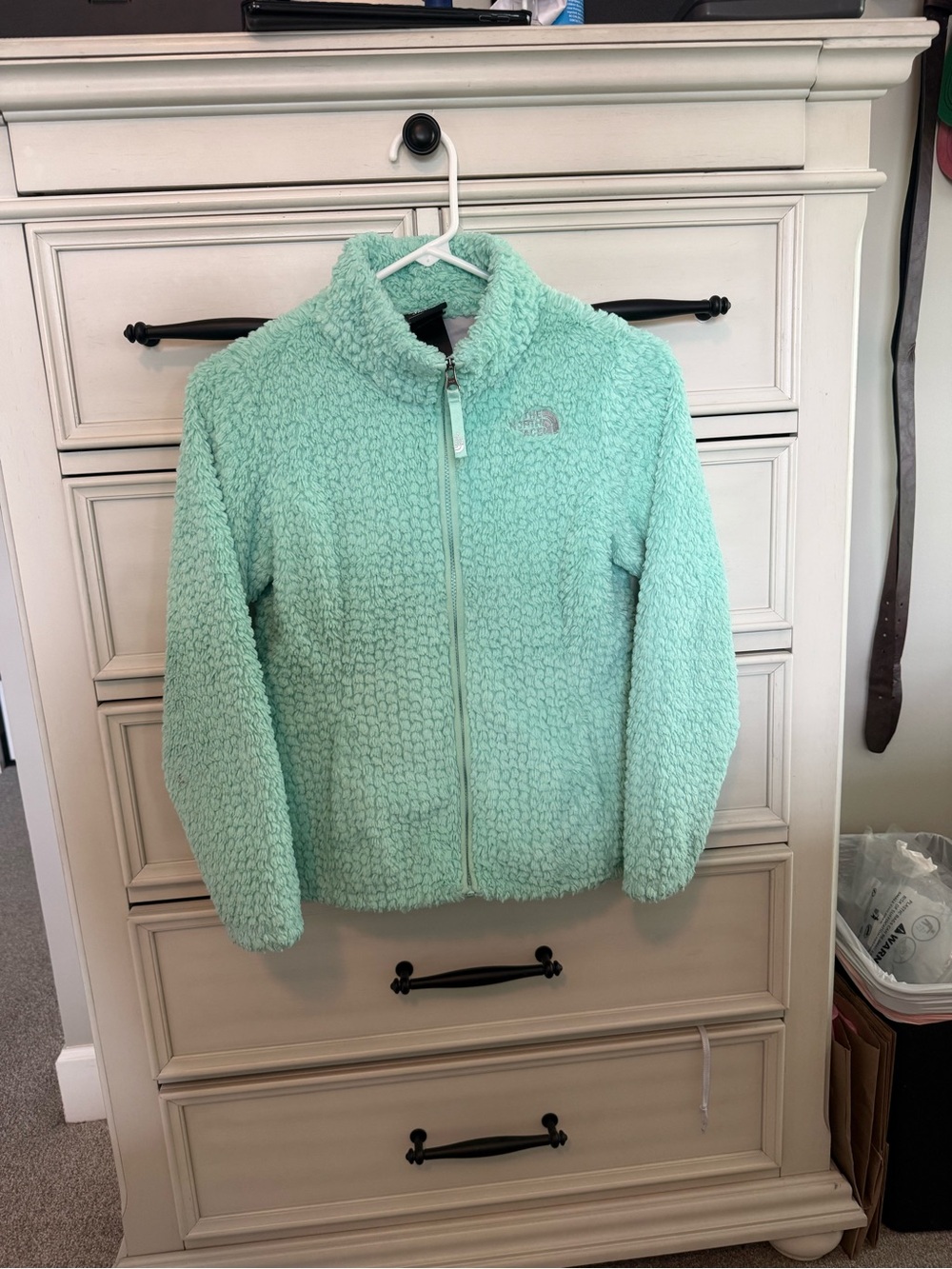 The North Face Mint Green Plush Full-Zip Fleece Jacket